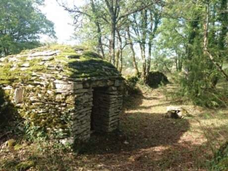 Boucle des Orchidées