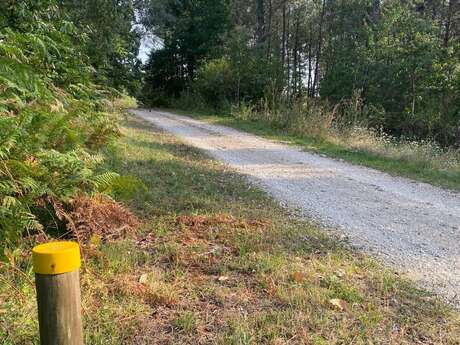 Boucle des Versannes