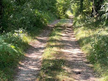 Boucle des Hauts du Vern