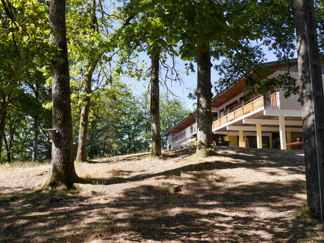 Voilco-Aster Base  1