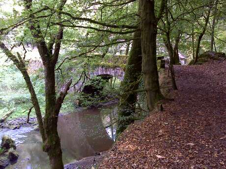 Etape Clergoux - St Chamant