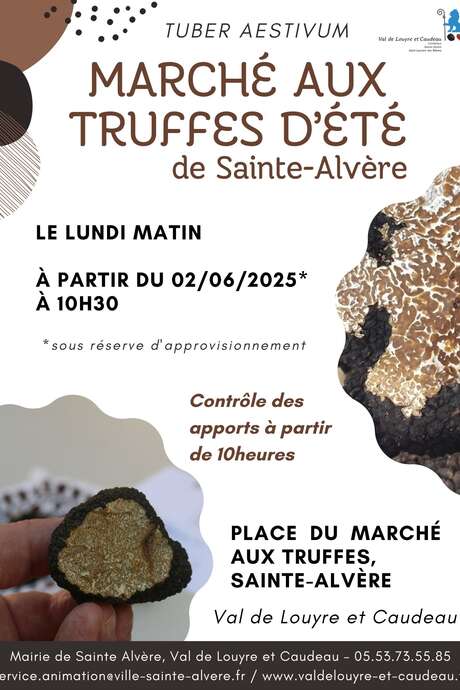Summer truffle market in Sainte-Alvère - from 2 June 2025